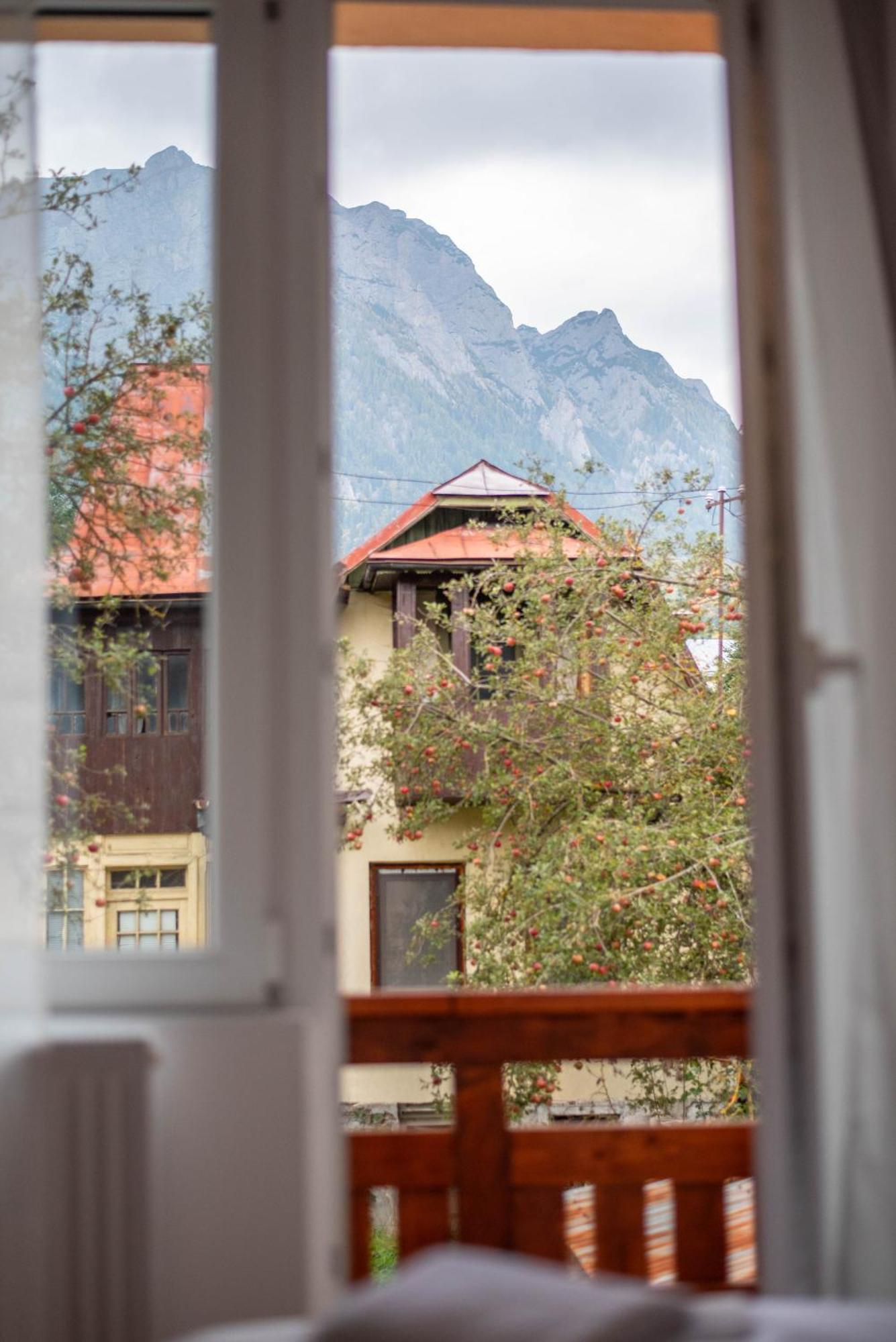 Casa Bucegi Busteni Bagian luar foto